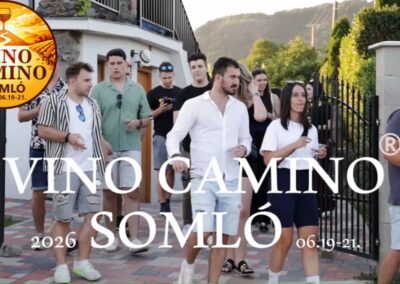 Vino Camino Somló