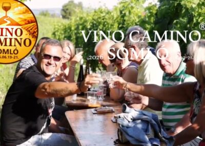 Vino Camino Somló