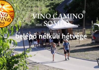 Vino Camino Somló