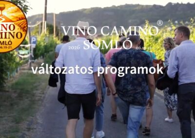 Vino Camino Somló